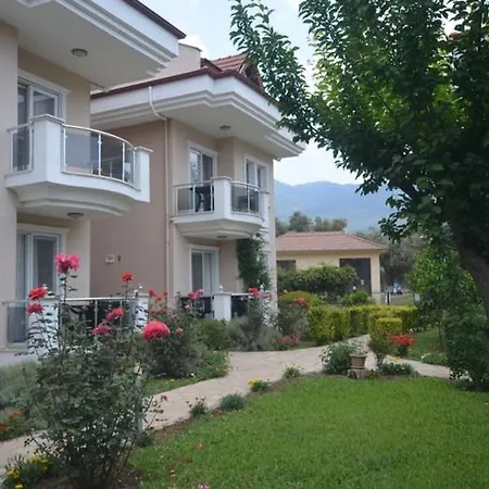 Evergreen Hisaranou * Ovacık